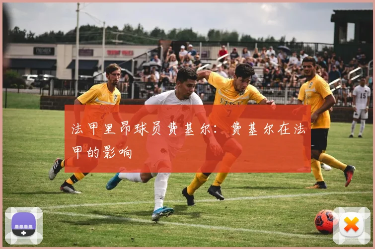 法甲里昂球员费基尔：费基尔在法甲的影响