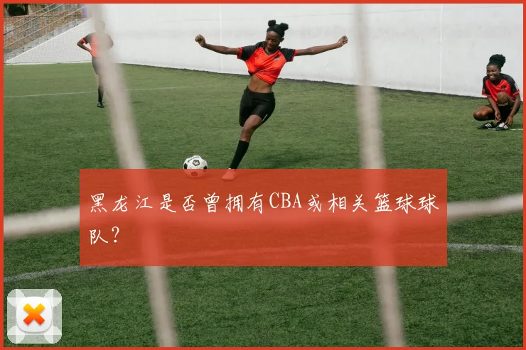 黑龙江是否曾拥有CBA或相关篮球球队？